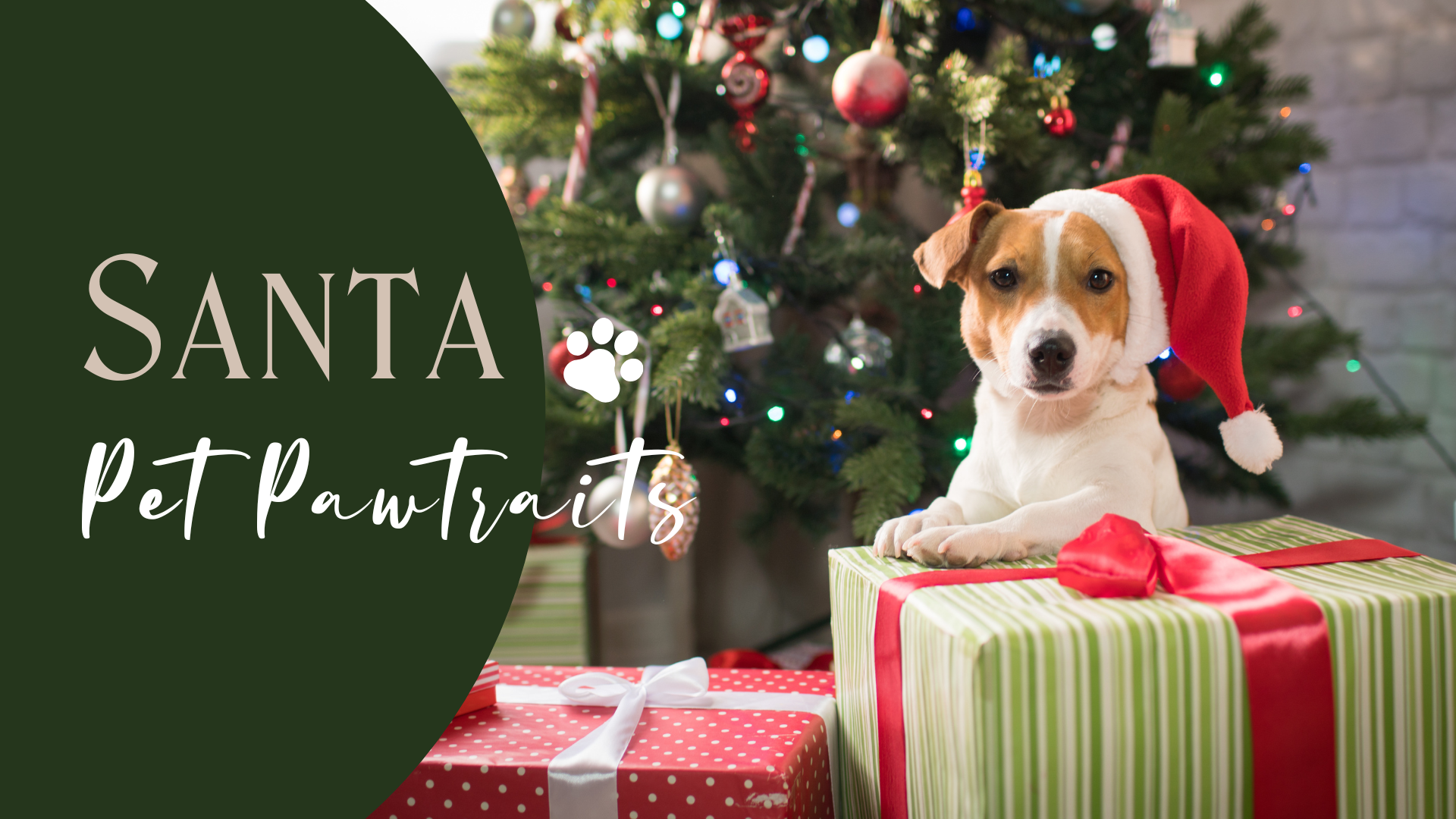Pet Pawtraits 2025 Facebook Banner 1920 x 1080
